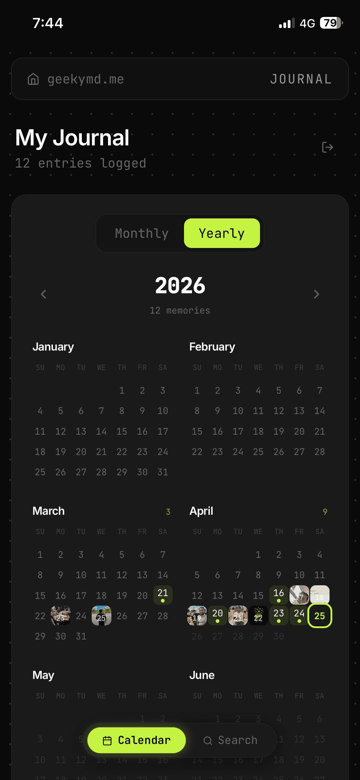 Year-view calendar heatmap